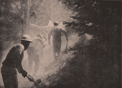 Anaïs Lefèvre, "The Specter of Waste. Incarcerated Bodies, Healthy’ Labor, and the Production of Recreational Forests”